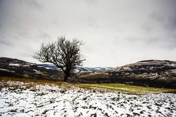 Otoño e invierno — Foto de Stock