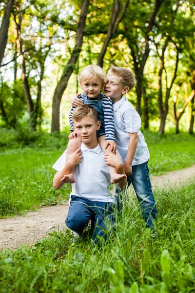 Kids with fox terrier dog — Stock Photo, Image