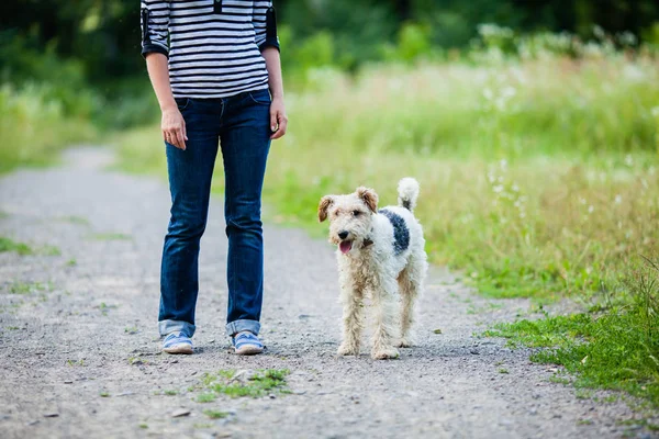 Mujer caminando con una mascota — Foto de Stock