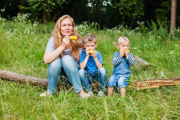 Mellanmål på naturen — Stockfoto