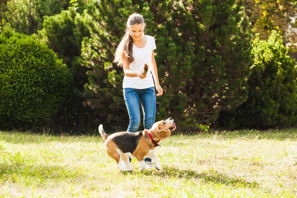 女の子が庭で犬と遊ぶ — ストック写真