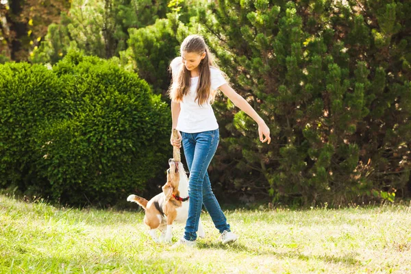女孩和一只狗在院子里玩 — 图库照片