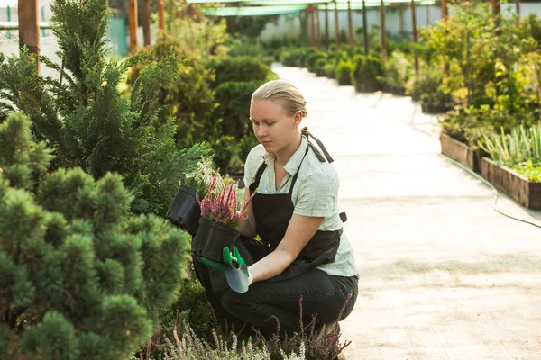 Mujer jardinero con macetas — Foto de Stock