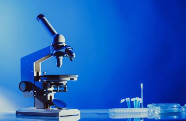 Kopya alanı mikroskopla