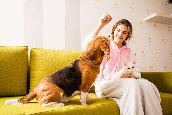 the dog wants a delicious meal