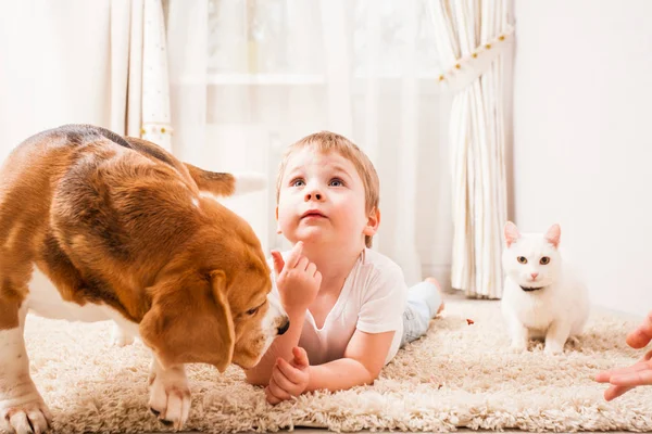 Infância feliz com animais de estimação — Fotografia de Stock