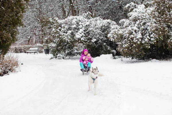 Moeder met een dochter rit slee-hond — Stockfoto