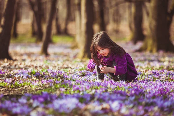 Dziewczyna inspirowane naturą — Zdjęcie stockowe