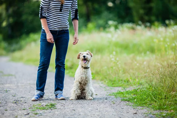 女人与宠物散步 — 图库照片