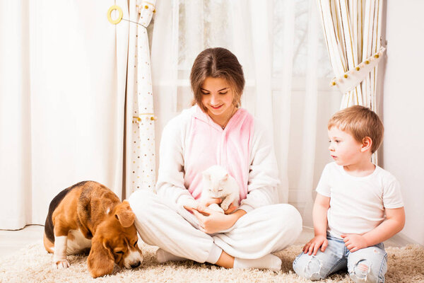 small kitty in the big family