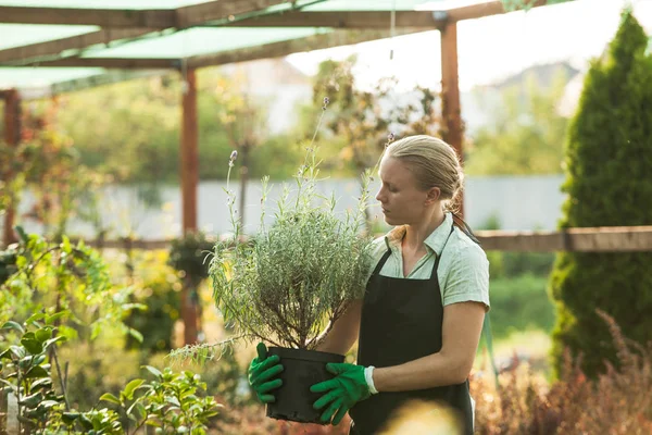Mujer jardinero con macetas — Foto de Stock