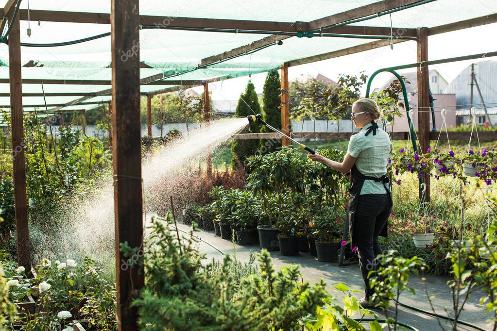 Florist takes care of the herbs