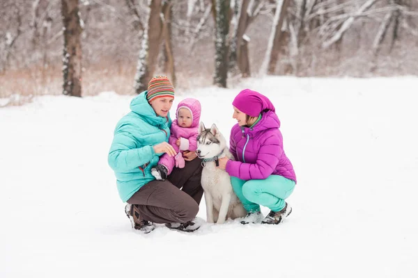 허스키와 가족 — 스톡 사진