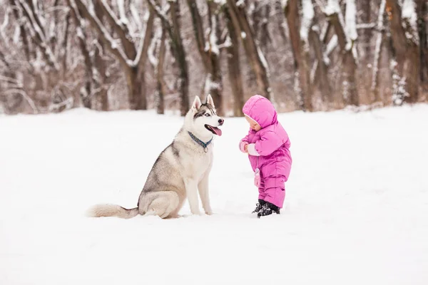Lilla bebis med Husky hund — Stockfoto