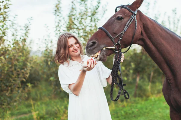 Une femme nourrit un cheval — Photo