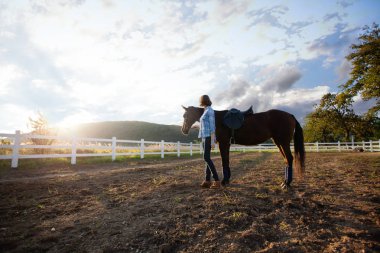 Akşam walk at üzerinde