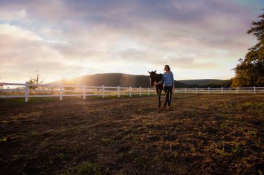 Akşam walk at üzerinde