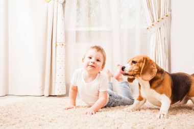 köpek, ailenin bir parçası olduğunu
