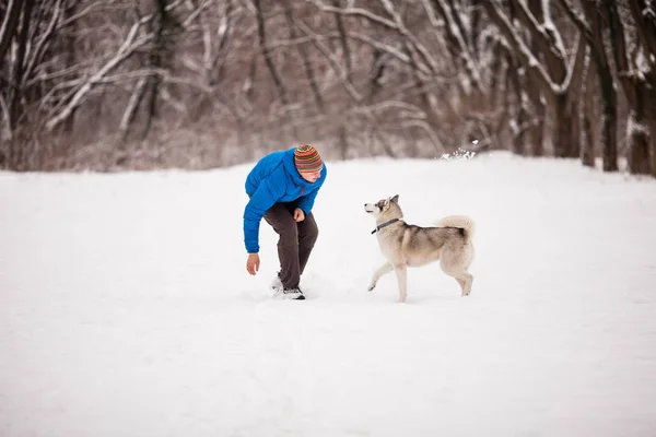 El hombre camina el husky — Foto de Stock