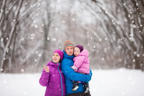 冬の森の家族 — ストック写真