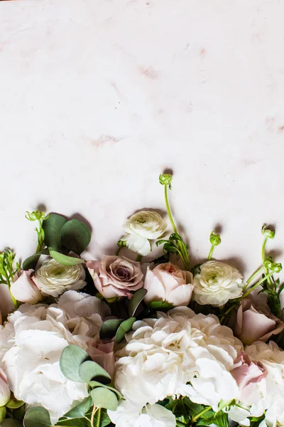 Kwiaty białe obramowanie — Zdjęcie stockowe