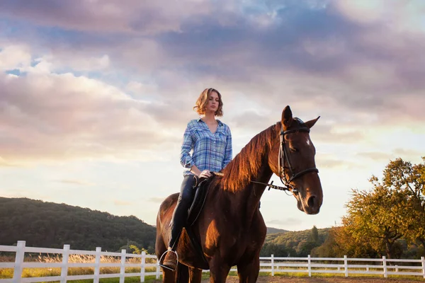 Abendspaziergang auf dem Pferd — Stockfoto