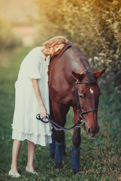 Caballo en el jardín — Foto de Stock