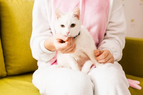 Gato obediente feliz — Foto de Stock