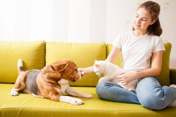 animals communication on the sofa