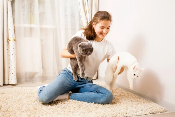 De girlis is bedrijf katten — Stockfoto