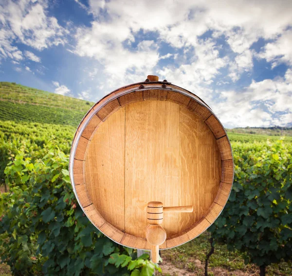 De bodem van een wijn vat op een witte achtergrond — Stockfoto