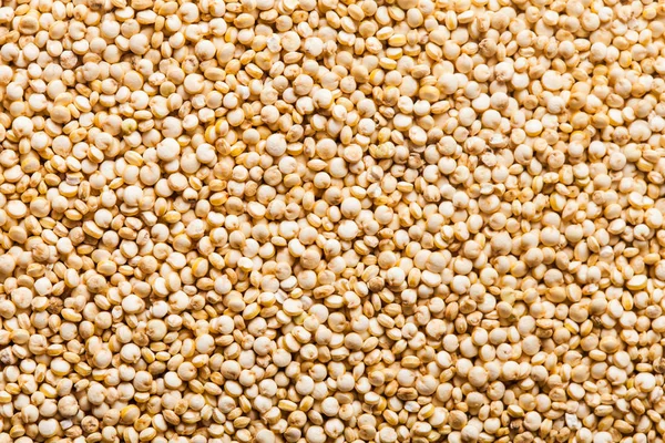 Quinoa seed background — Stock Photo, Image