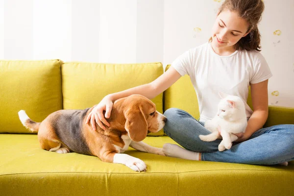 Chica joven con sus mascotas — Foto de Stock