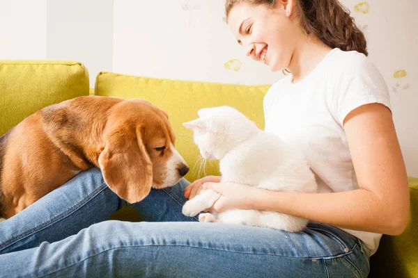 女の子は動物と遊んでください。 — ストック写真