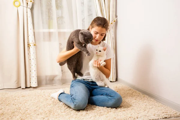La chica está pasando tiempo libre con sus gatos — Foto de Stock