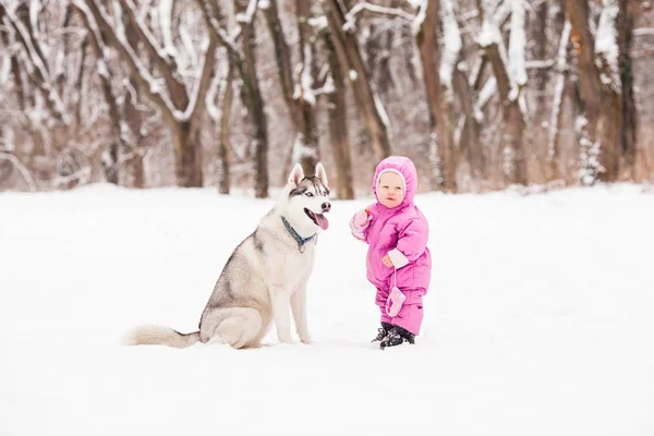 Małe dziecko z psem Husky — Zdjęcie stockowe