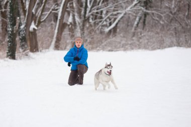 Husky köpek adamla bir