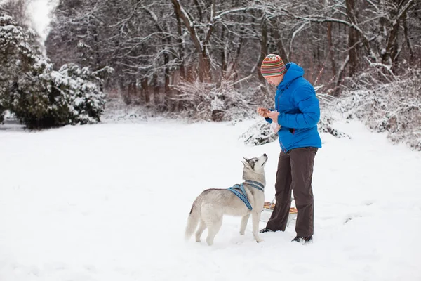 Muž s husky psa v zimě — Stock fotografie