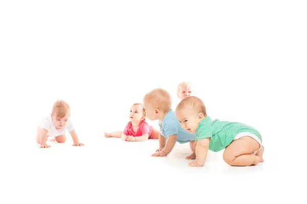 Grupo de oito bebês, rastejando, sobre branco — Fotografia de Stock