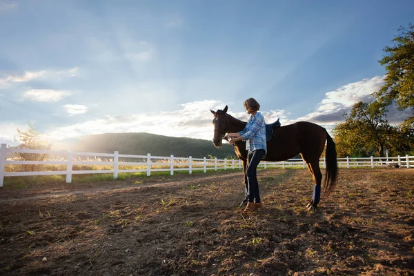 Evening walk on the horse — Stock Photo, Image