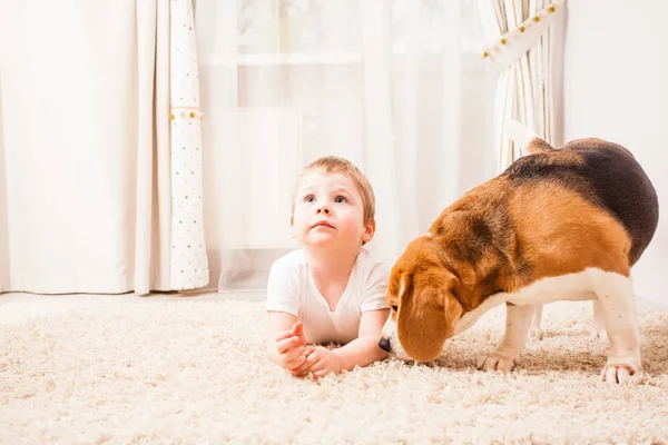 彼の犬を持つ少年 — ストック写真