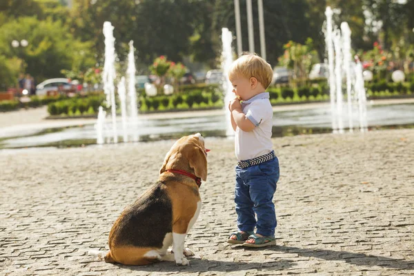 Мальчик кормит собаку. — стоковое фото