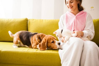 köpek ve kedi birbirleri ile iletişim
