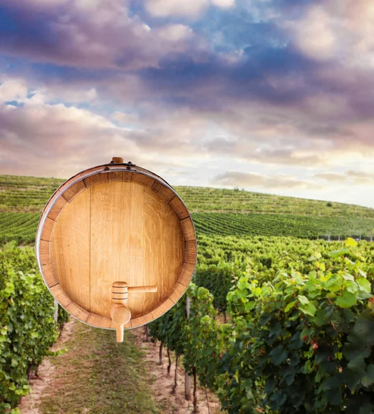 Il fondo di una botte di vino — Foto Stock