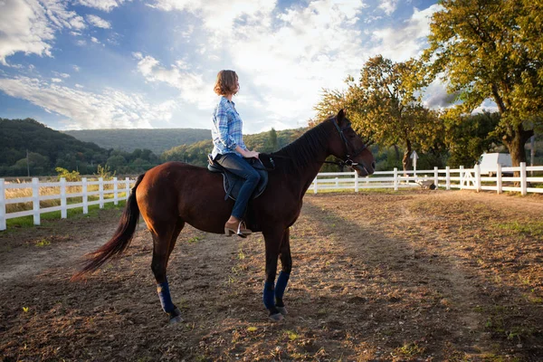 Avond wandeling op het paard — Stockfoto