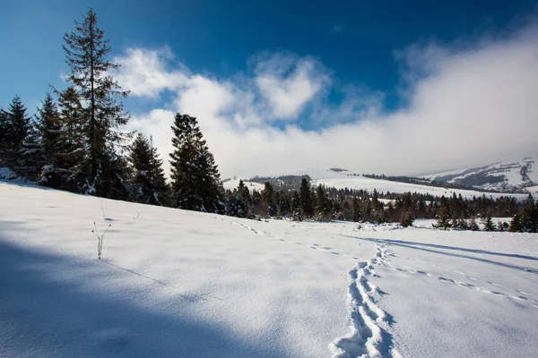 Paisaje invernal en Europa — Foto de Stock