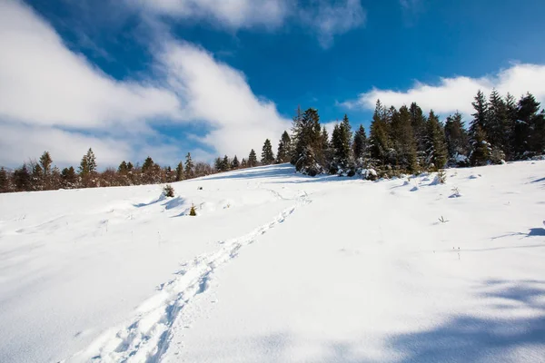 Шлях у зимовому полі — стокове фото
