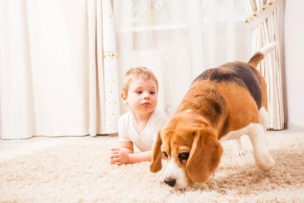 De beste vrienden hebben een rust — Stockfoto