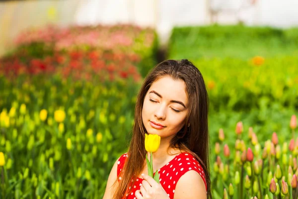 Žena sedí v poli tulipány — Stock fotografie