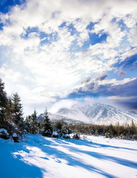 Schöne Winterwelt — Stockfoto